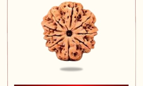 中药店有陈皮卖吗-哪里有卖中药陈皮的网 - 为你提供陈皮哪里能买到多少钱一斤、陈皮应该去哪儿买