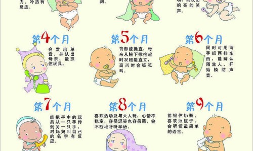 哪里有卖陈皮的地方-哪里有卖中药陈皮的网 - 为你提供陈皮哪里能买到多少钱一斤、陈皮应该去哪儿买